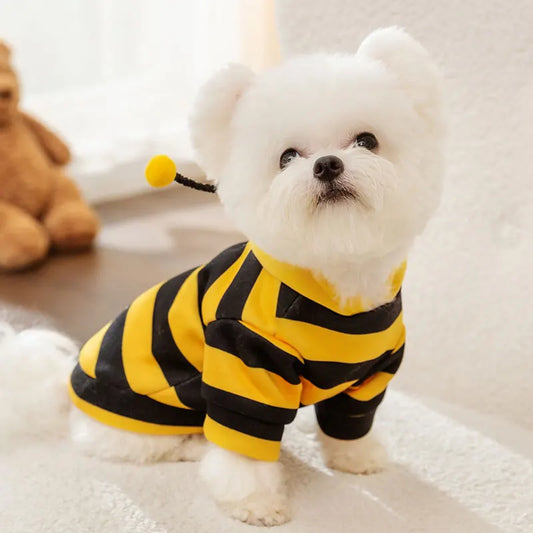 Dog in CanineChest bee costume, featuring a cozy hoodie with antennae and yellow pompoms, ideal for Halloween, parties, and photos.