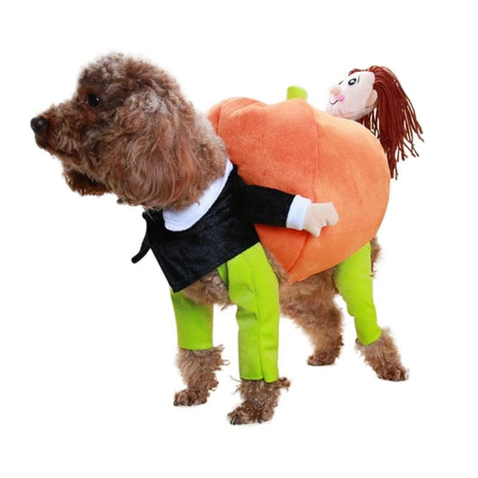 Poodle wearing CanineChest pumpkin dog costume, a festive Halloween outfit made of soft velvet, perfect for small and medium dogs.