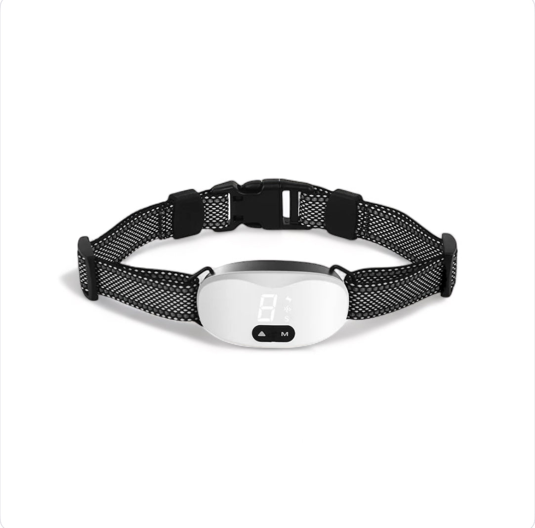 CanineChest SilentPaws Rechargeable Bark Collar, a waterproof and effective anti-bark collar designed for small to medium dogs.